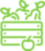 organic-icon-1